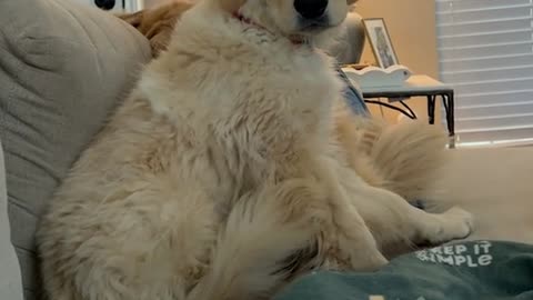 NOBODY TAKES TEDDY'S SPOT 😁