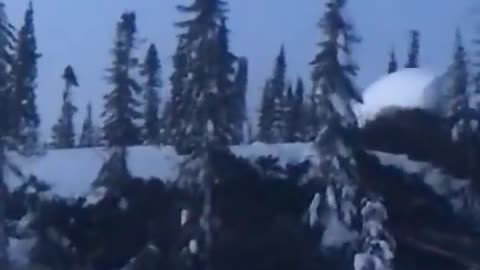 👹🧙 Are Those Trees Moving? Nature or Something Else? | TheHauntingHour