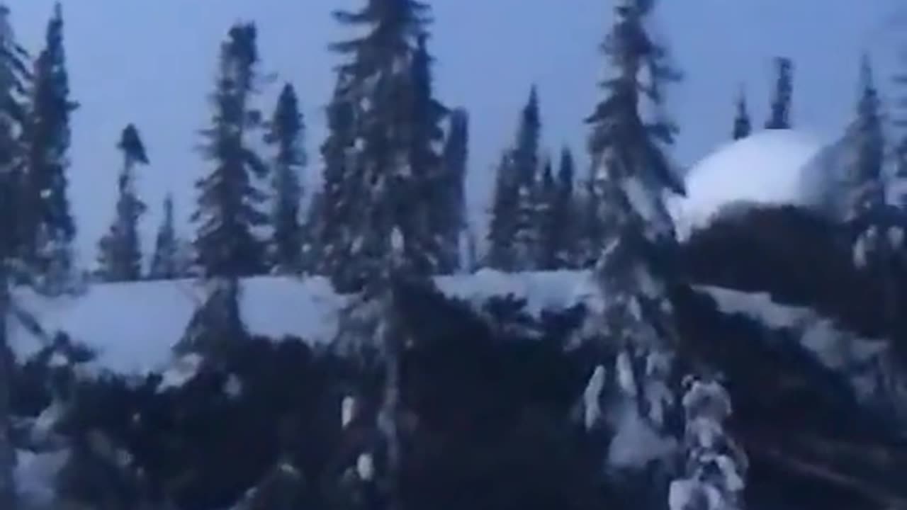 👹🧙 Are Those Trees Moving? Nature or Something Else? | TheHauntingHour