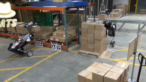 Roboter unsere Zukunft