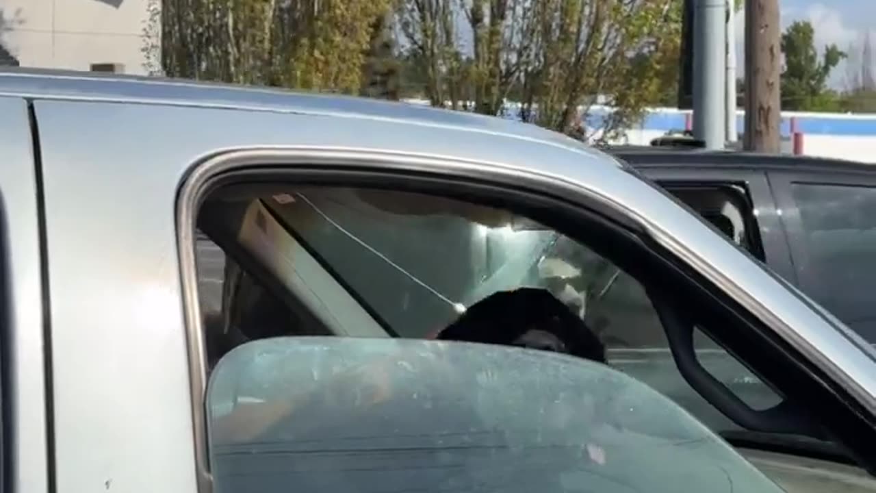 😂🤣 The Most EPIC Dawg Fail Ever! | FunFM