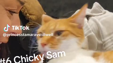 Chicky Sam You should see the things we do 6 of 10