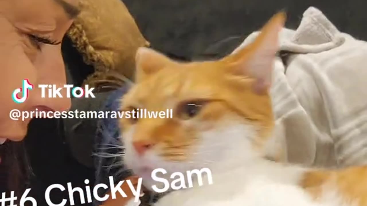 Chicky Sam You should see the things we do 6 of 10