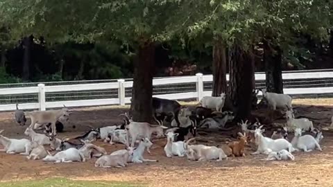 We ate so much that we have to rest before eating again