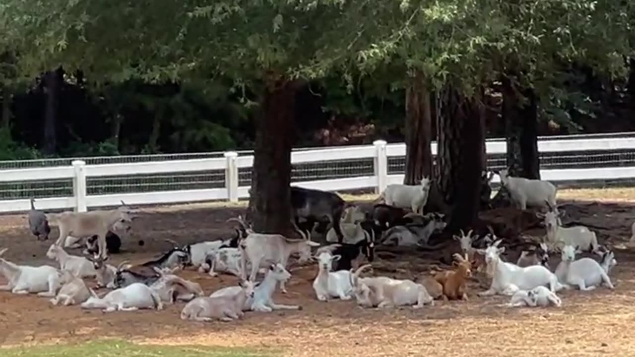 We ate so much that we have to rest before eating again