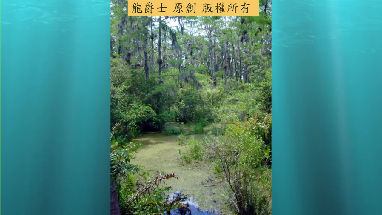 【龍爵士】千問千答 Q208 你們的硝化菌會推出液態的嗎