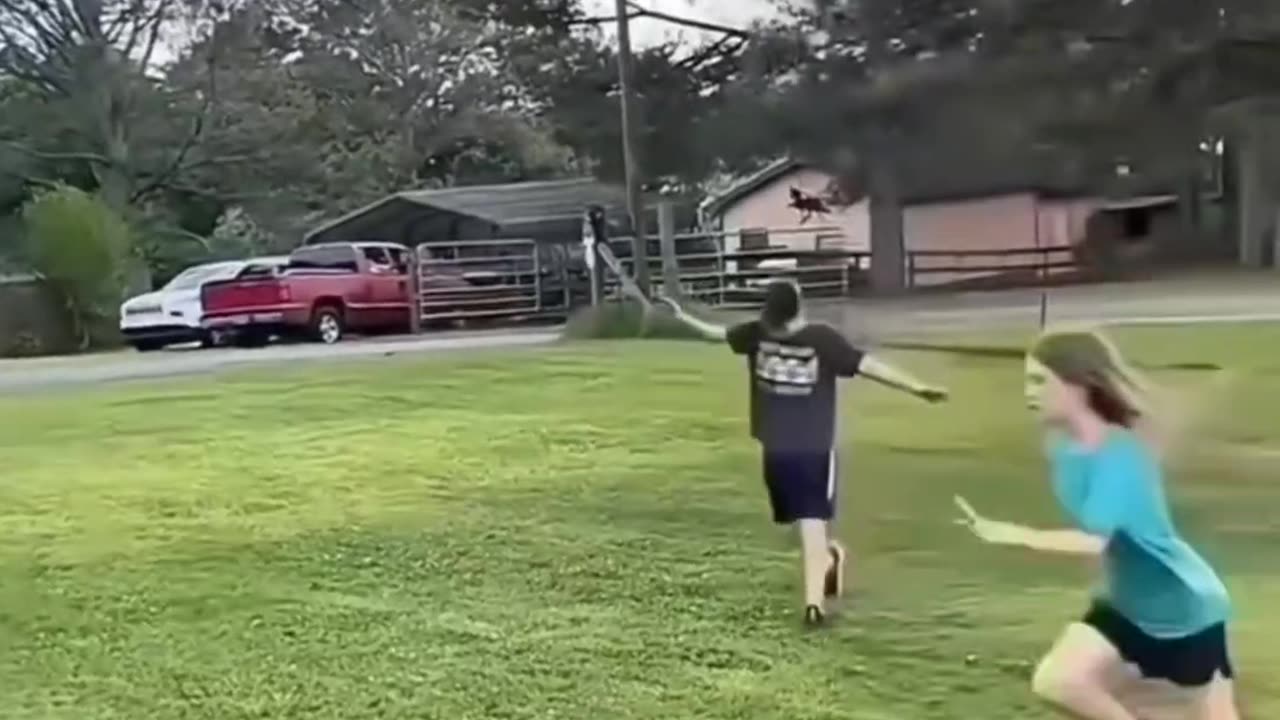 😂✨ Side-Splitting Comedy | Hilarious Videos to Brighten Your Day