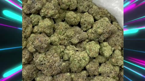 CRITICAL MASS (Indica, 33% THCa) deep relaxation - 📦 Indoor • Distributor Ready • Bulk Available