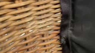 A hot air balloon carrying several riders made a rough landing in Mexico after getting