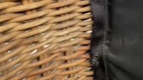 A hot air balloon carrying several riders made a rough landing in Mexico after getting