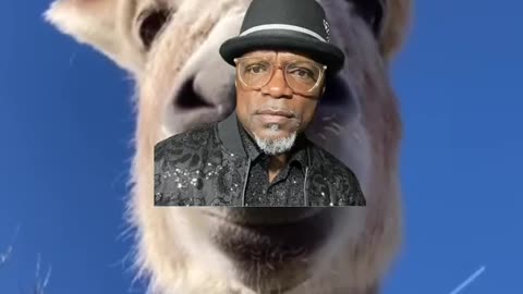SHUT UP! KENNY MALONE
