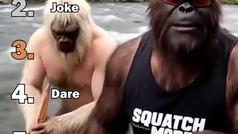 Funny videos