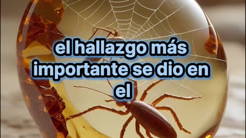 Increíble hallazgo en Ecuador: insectos y telaraña fosilizados en ámbar.