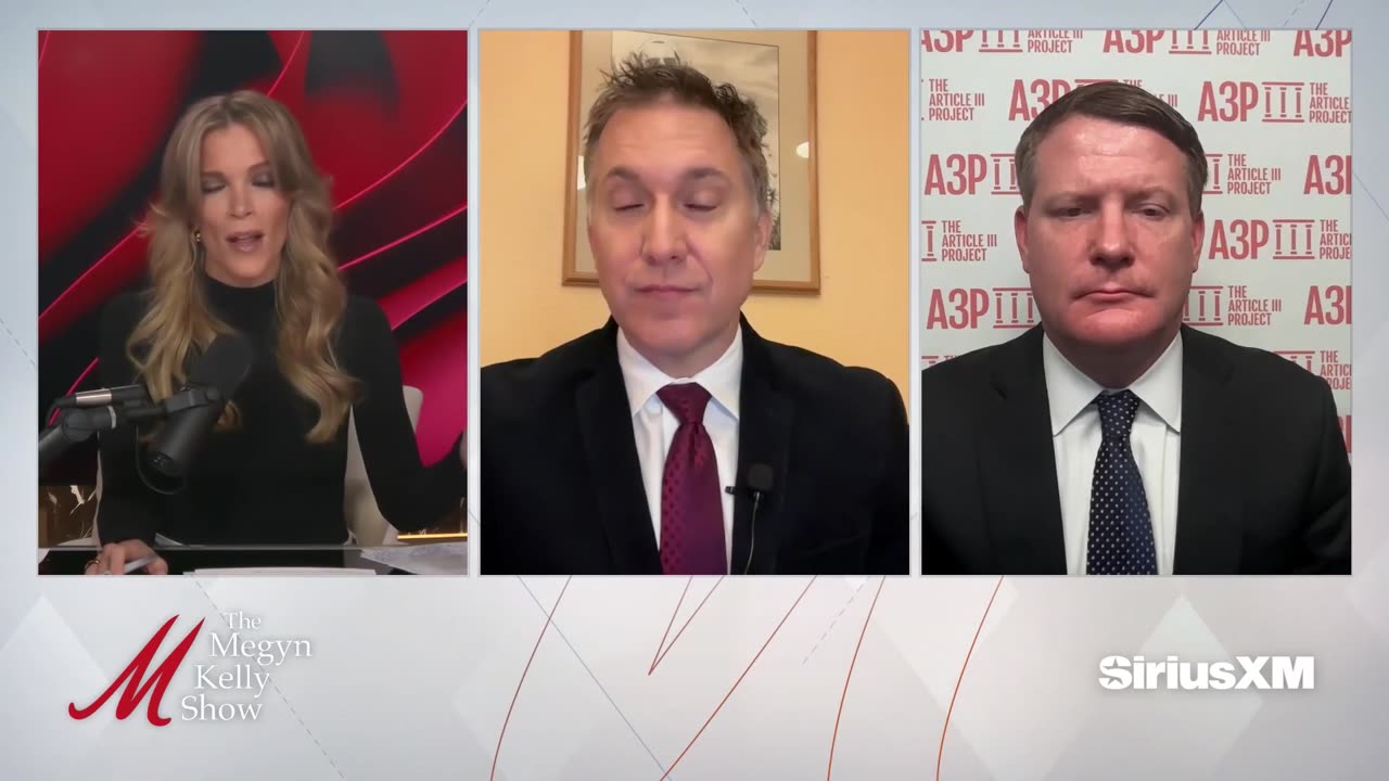 Megyn Kelly Clashes With Democrat Attorney On Whether Courts May 'Decide Political Questions'
