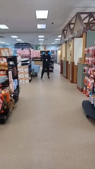 When you gotta 💩 #influencer #like #follow #share #subscribe #fyp #TikTok #Shorts #reels