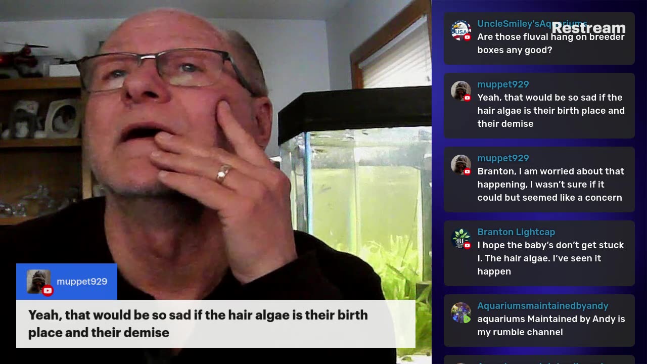 MyFishTanksAquatics - Afternoon Coffee - Just Chatting