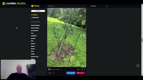 MEME STREAM