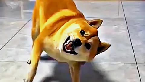 😂😆 "This Dog Just Invented Comedy!" 😂😆