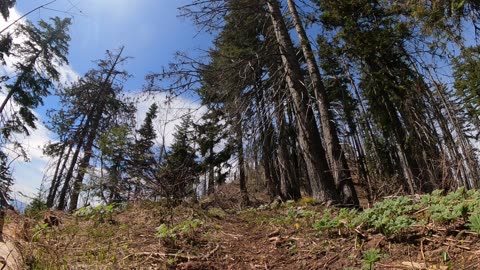 Finally made it to the top of Teanaway Butte, WA