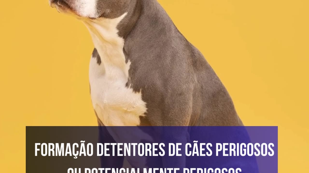Formação Detentores De Cães Perigosos Ou Potencialmente Perigosos.