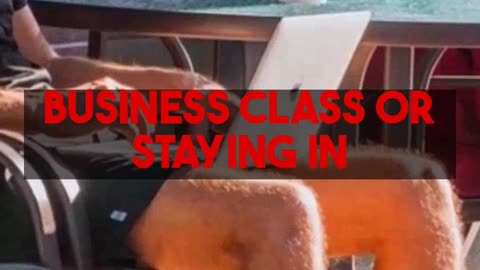 Unlock luxury travel: Mighty Travels Premium case studies make Business Class affordable.