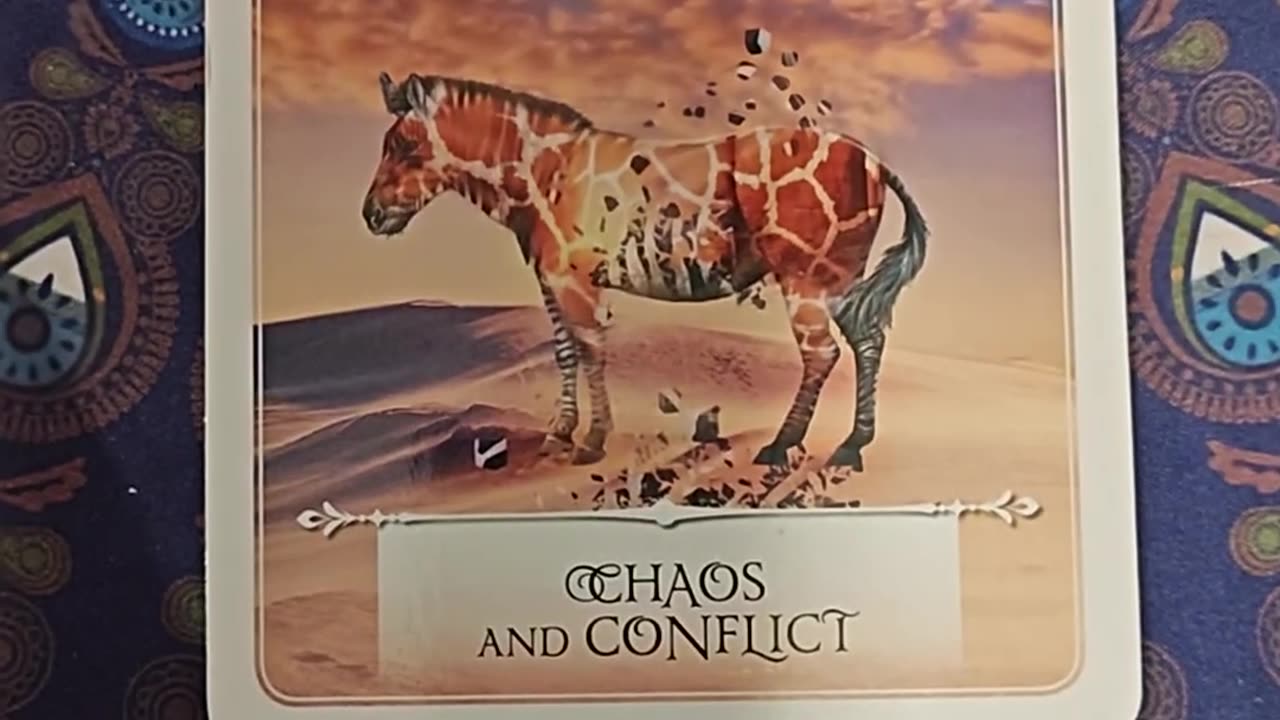 Oracle Card Reading 8/2/25