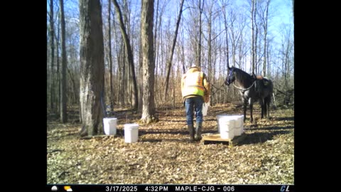 Steele helping with Maple project - still shot sequence 17 March 2025