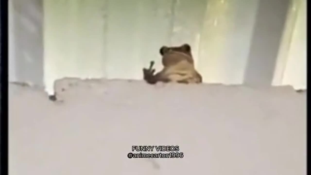 😂😁