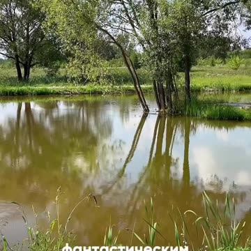 Manor Magic place - Overview of the sauna complex