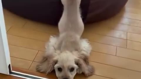 all that tranquility in the world