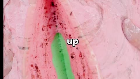 Cool Yogurt Snack Pops for Summer