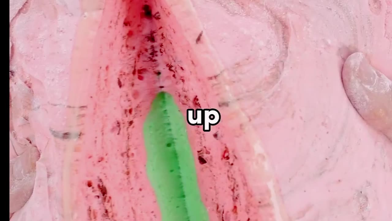 Cool Yogurt Snack Pops for Summer