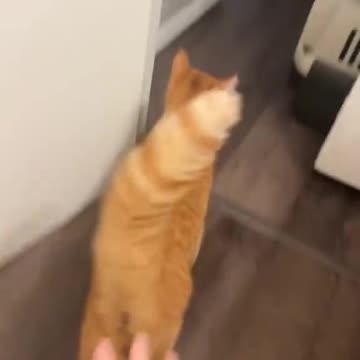 Not a square to spare 😝