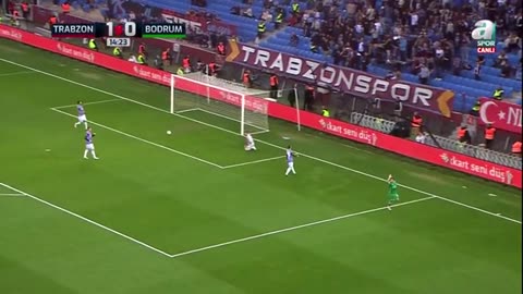 seferi goal