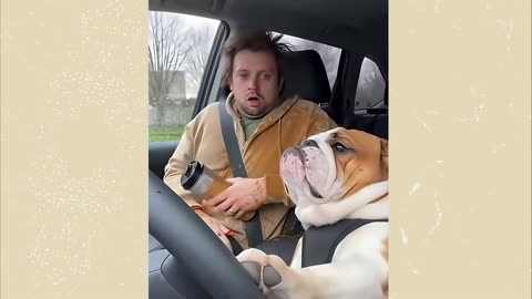 Drive Safe out there