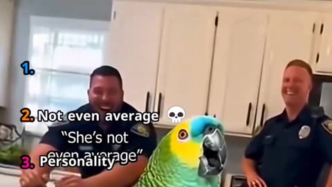 Ranking Parrot Trash Talking Videos@doc_3dd103444