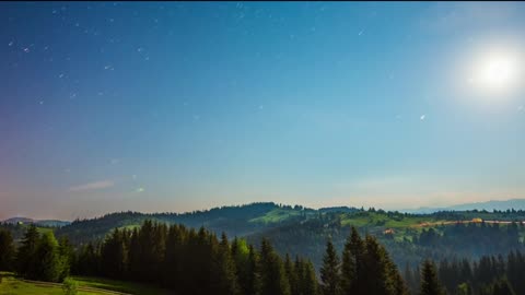 Nature