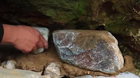 Building a Warm Shelter, Fishing, and Cooking in the Heart of Nature