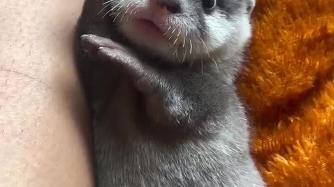cute