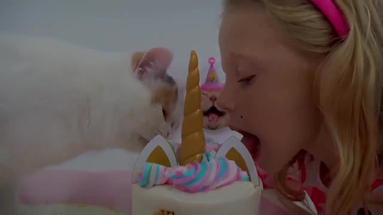 Nastya and her stories about cats and kittens
