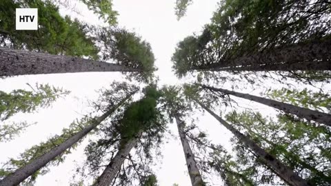 Into the Wilderness: Hidden Earth Adventures