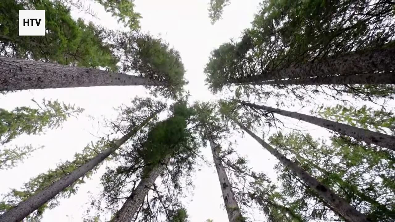 Into the Wilderness: Hidden Earth Adventures