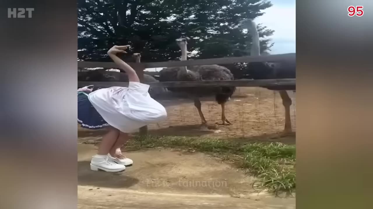 Top 100 Funniest Videos of All Time 😂😁 Try Not To Laugh || Memes Part 3