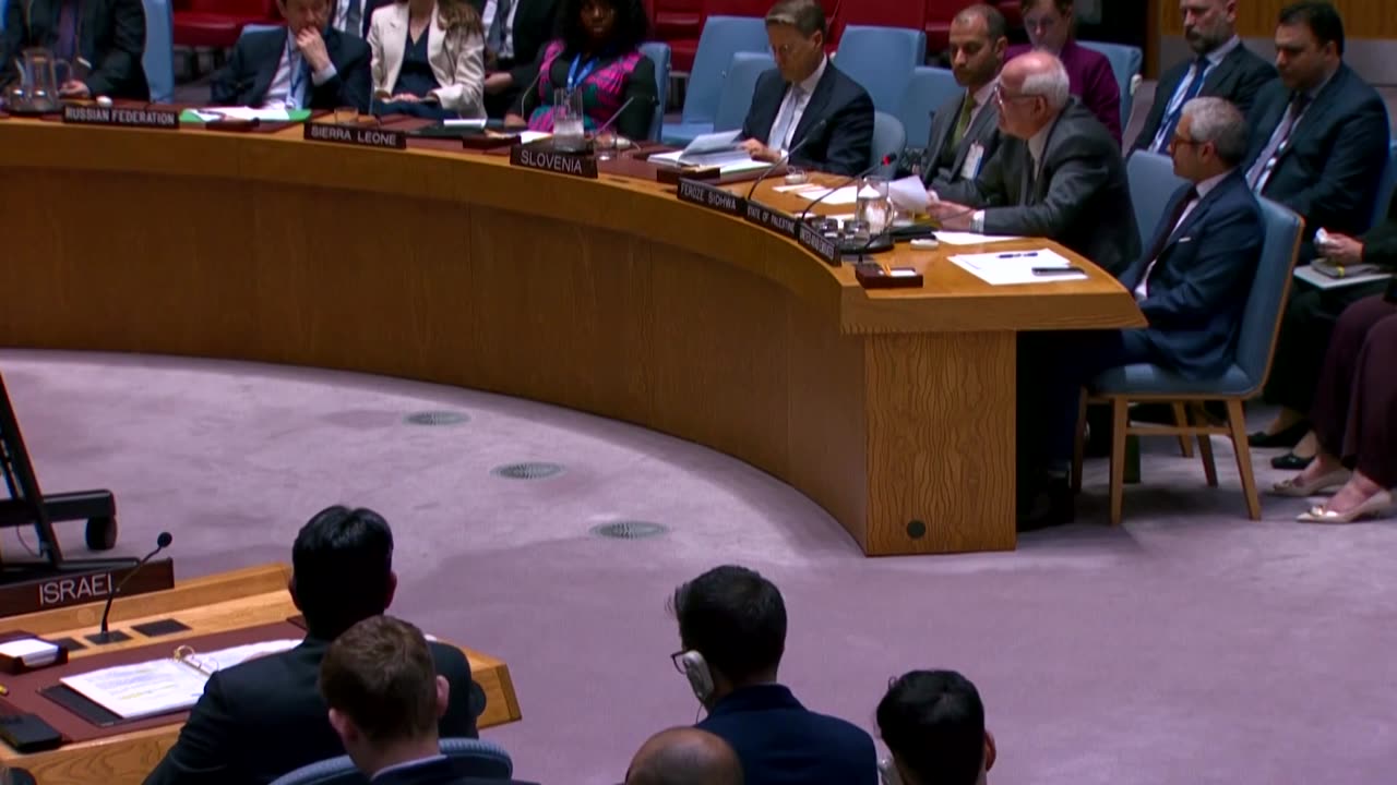 Palestinian UN envoy cries out over deaths of children in Gaza