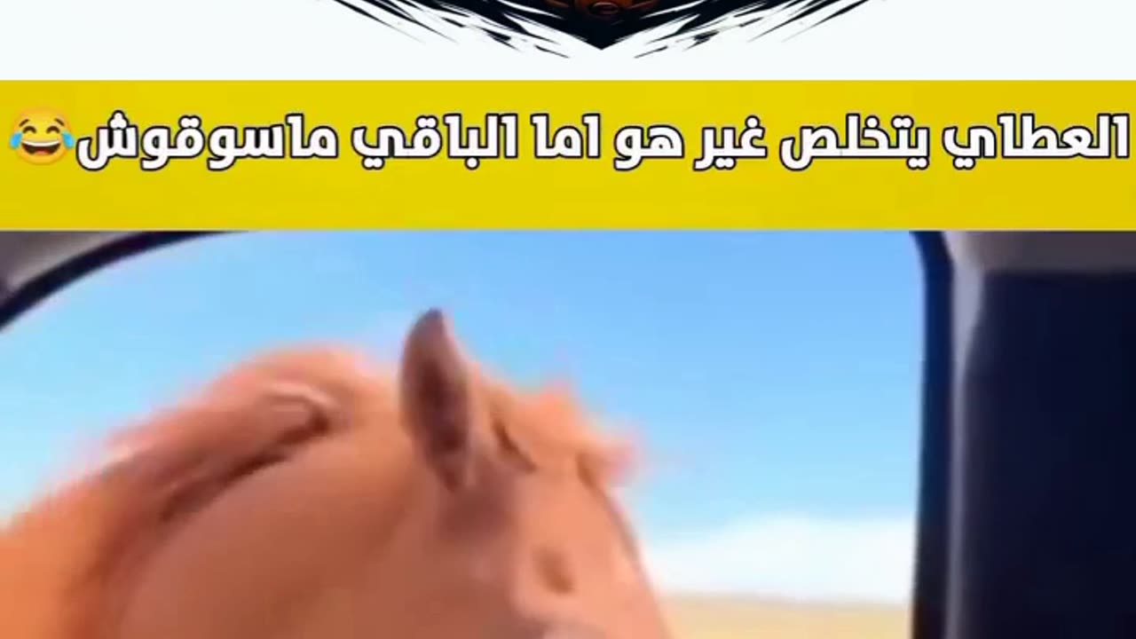 العطاي يتخلص غير هو اما الباقي ماسوقوش 🤣