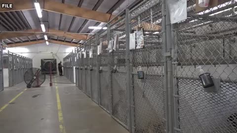 Bell County Animal Shelter to hire outreach coordinator