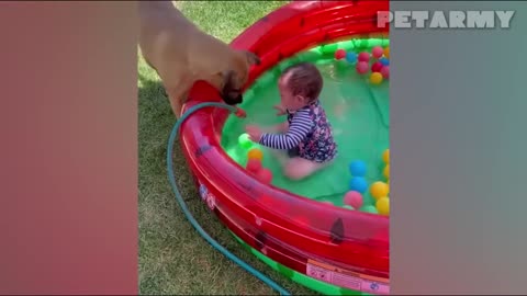 📹 30 Minutes of Cutest Baby and Dog Friendships Ever! 🐶👶