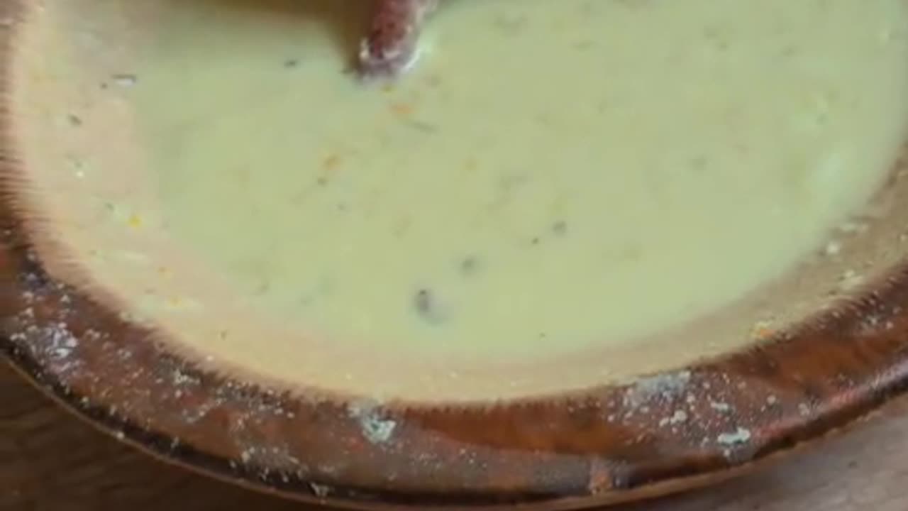 Baby Armadillo Stands In Feast