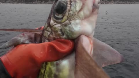 Fishing