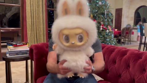 My Labubu just pulled a major 67